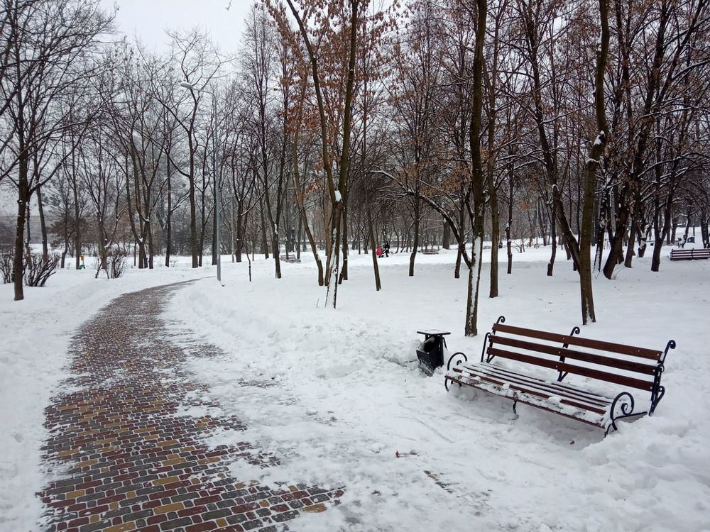 Зимний парк