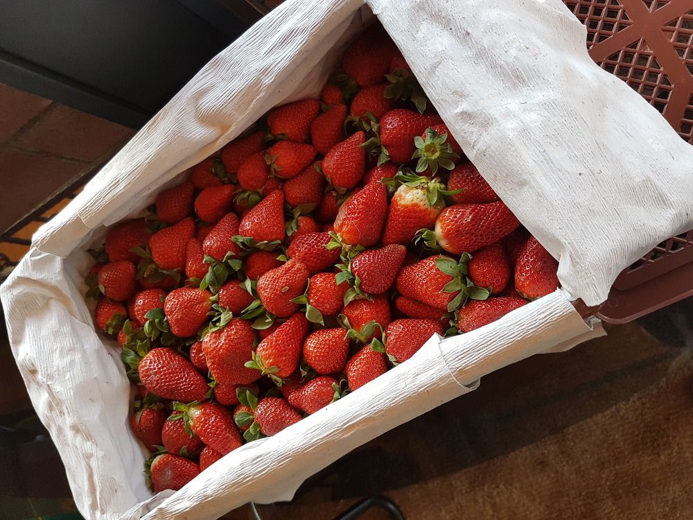 Клубничная посылка