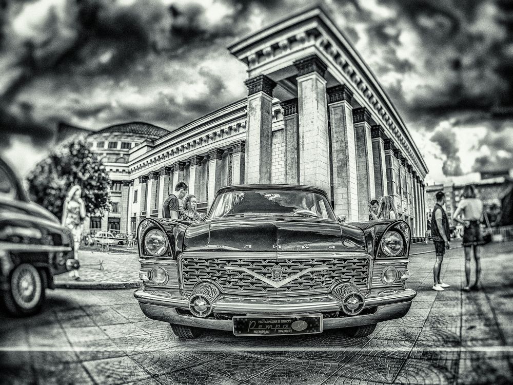 Чайка перед грозой