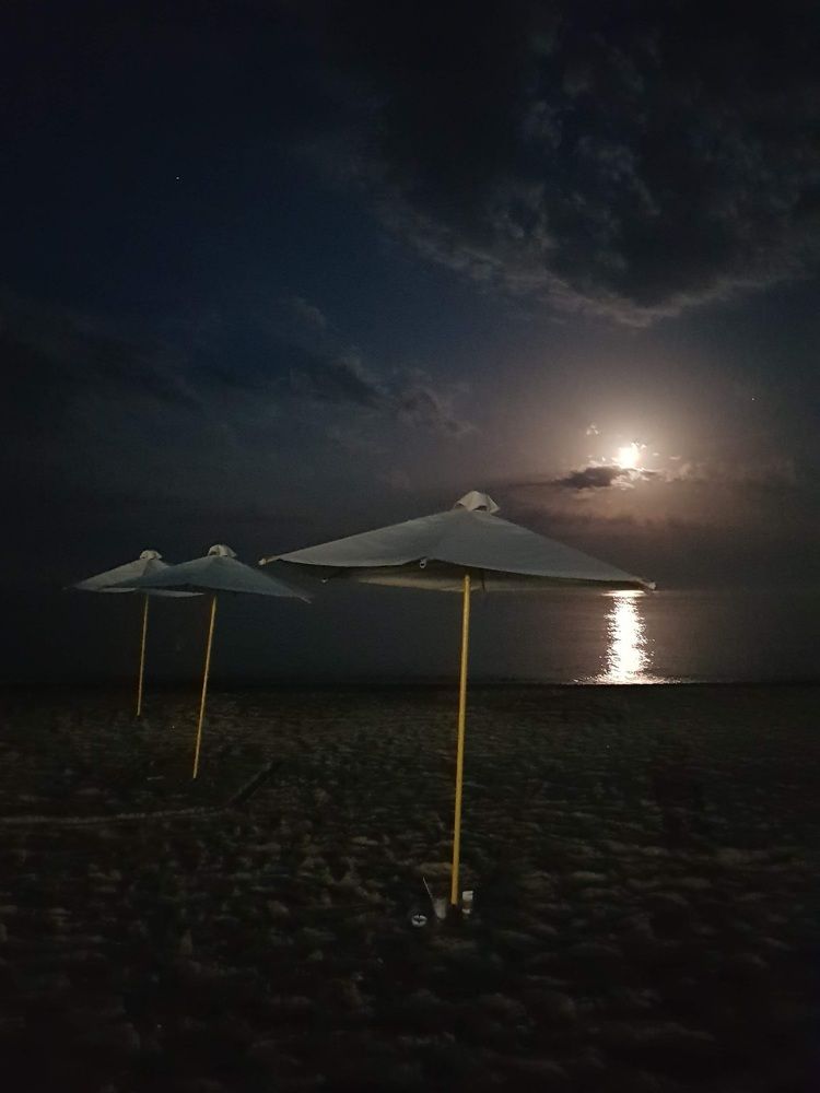 Photograph by Татьяна Василенко