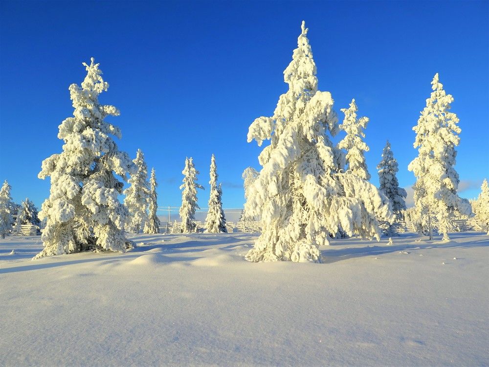 Солнце меняет все!