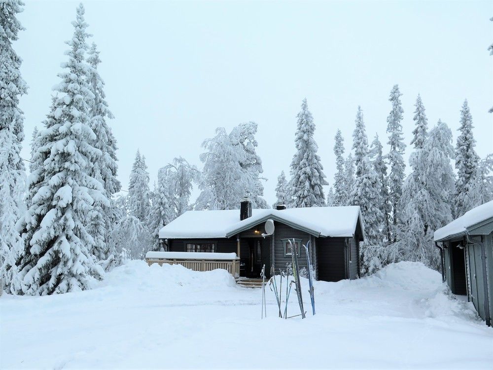 Лыжники отдыхают