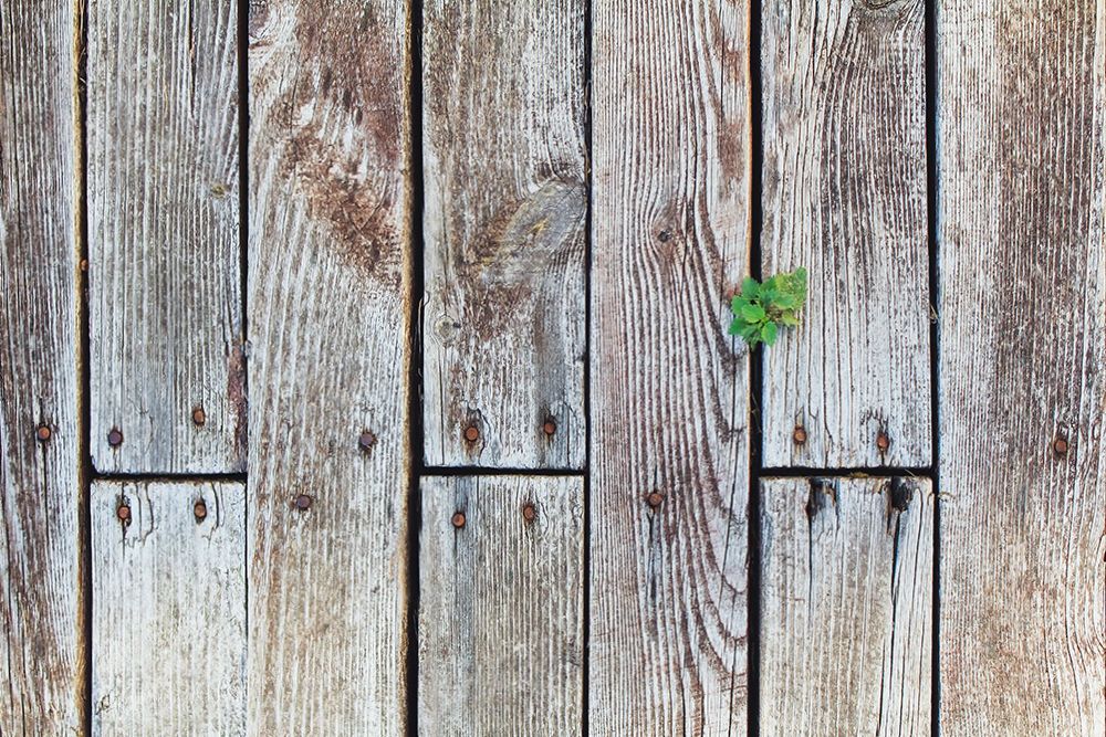 Photograph by Фролова Евгения