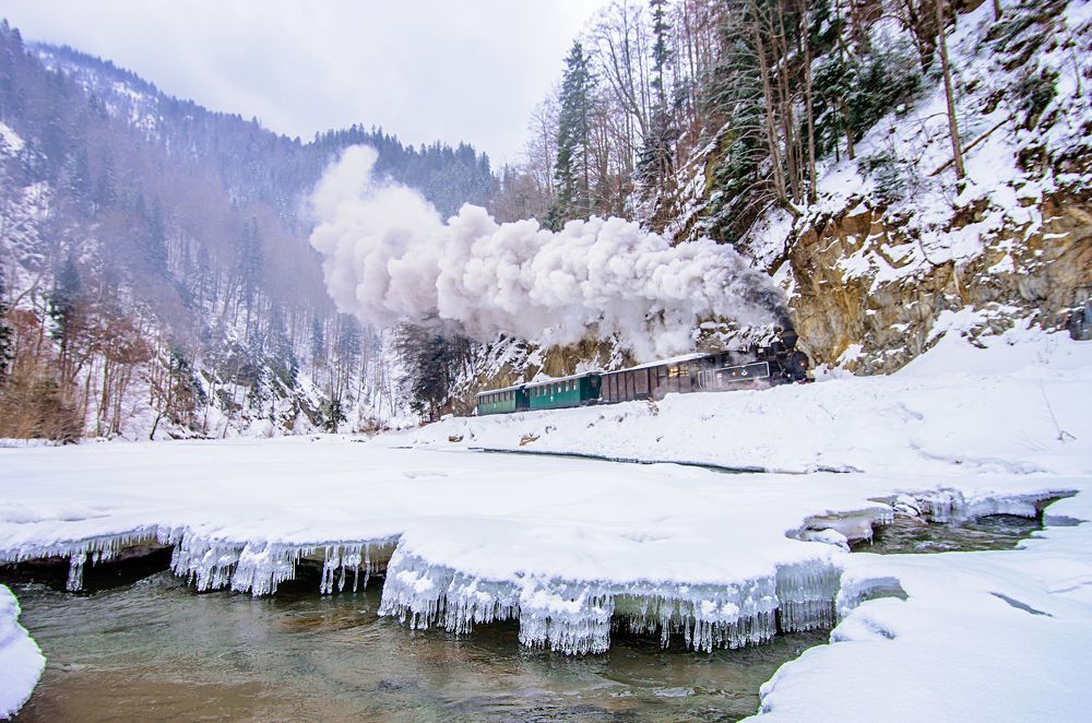 Old Steam Train called: Mocănița