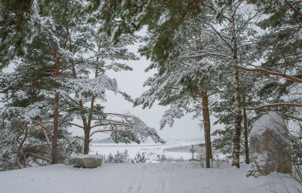 Фотография автора Геннадий Коробов