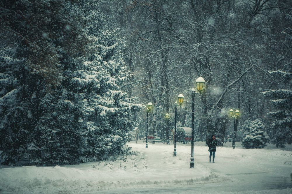 Photograph by Olga Tairova