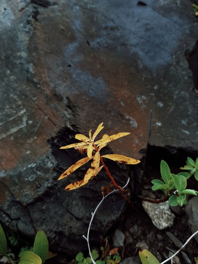 Photograph by Лана Агрба