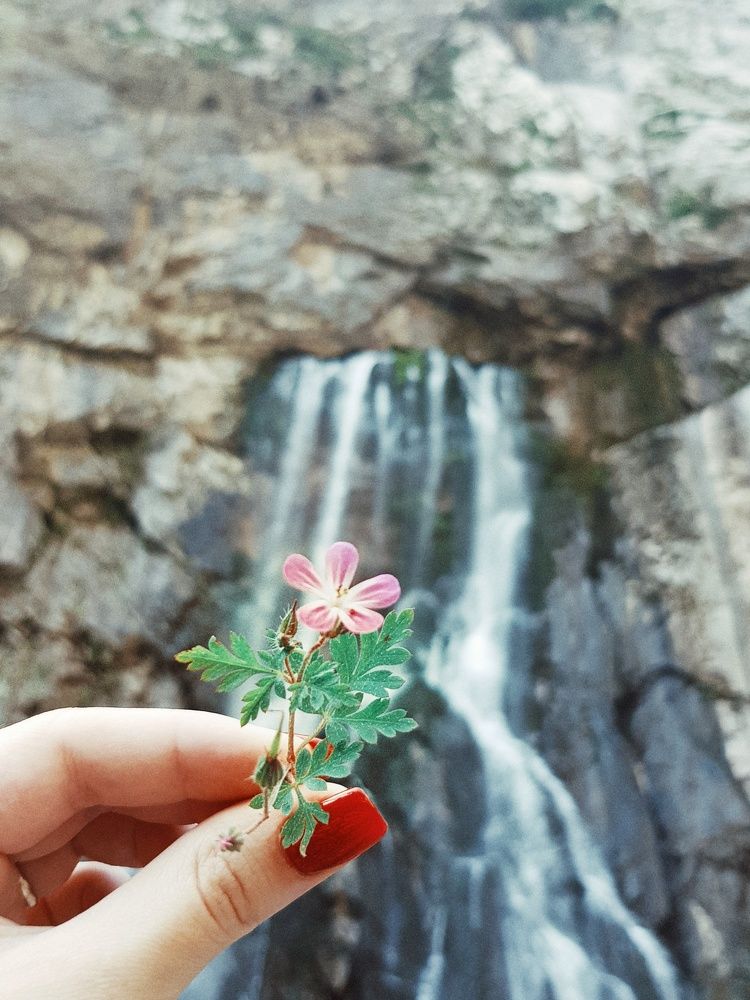 Photograph by Лана Агрба