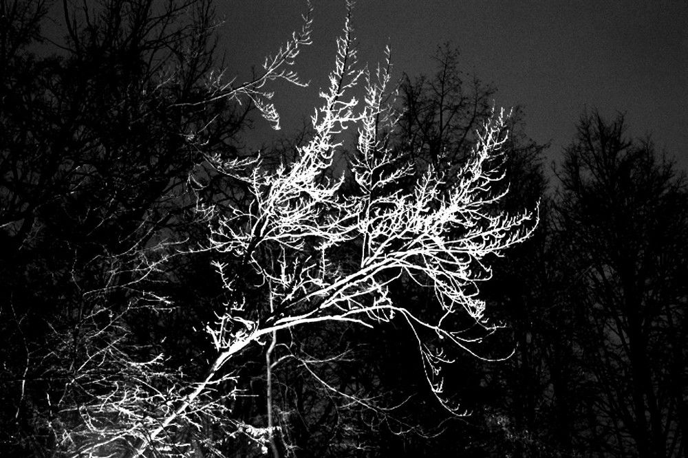 Photograph by Флорис Закреев