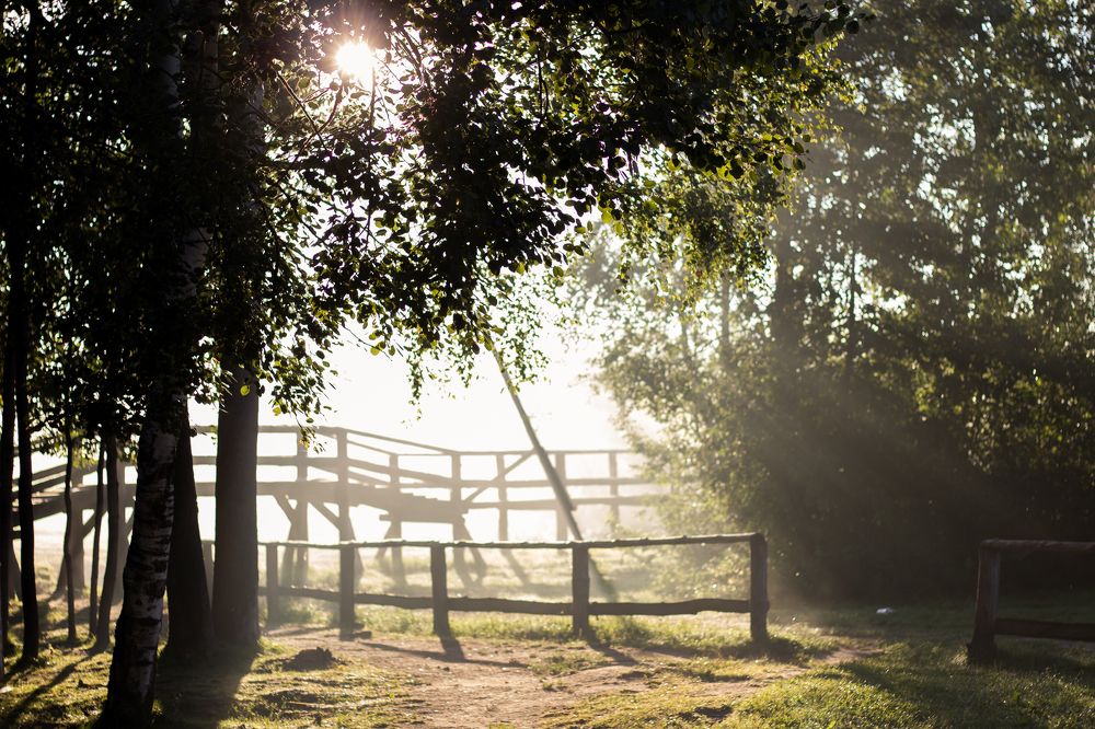 Photograph by Екатерина Мартынова