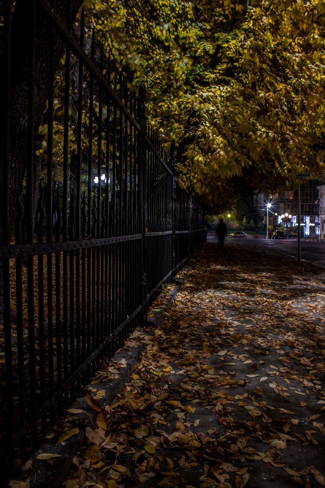 Photograph by Екатерина Мартынова