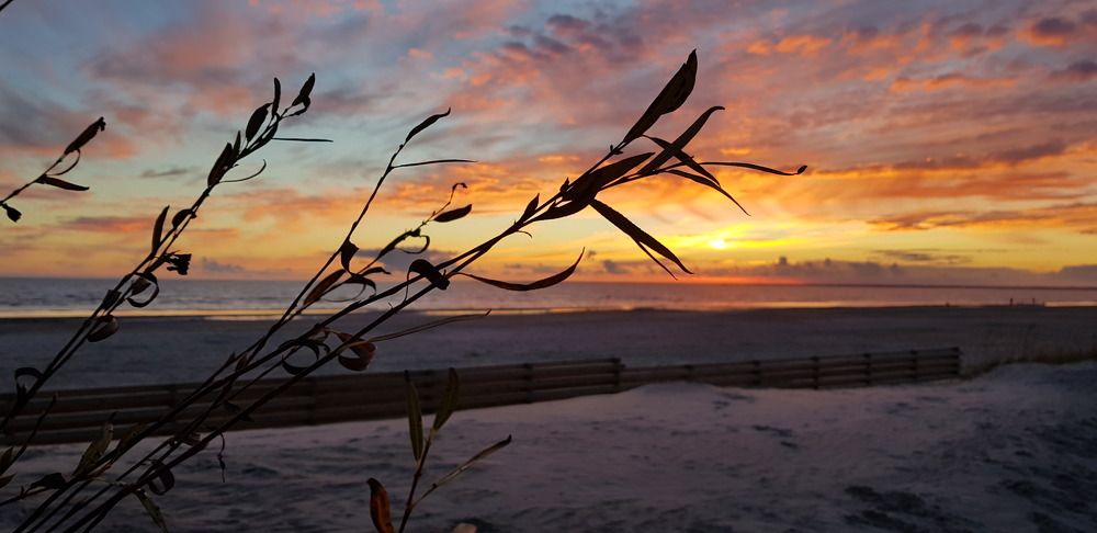 Эстония, Пярну