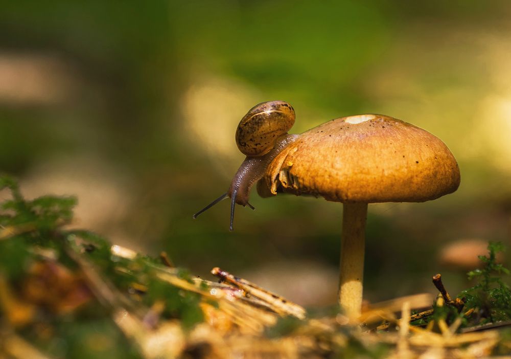 And how to climb down?