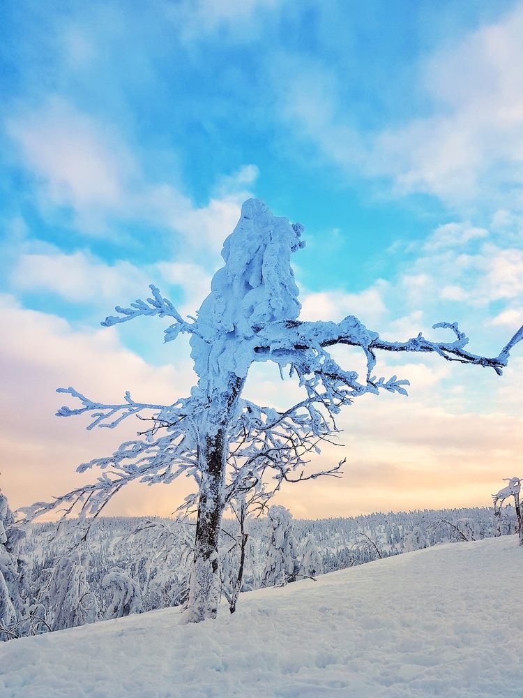 Photograph by Marcin Sokolowski - maarew