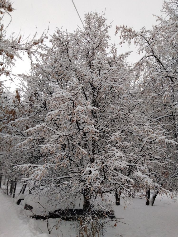 Photograph by Кирилл Анатольевич