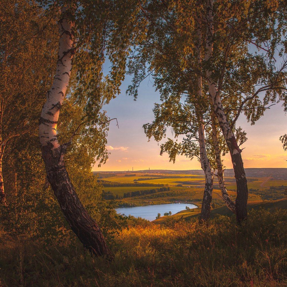 Вид на Комсомольский пруд