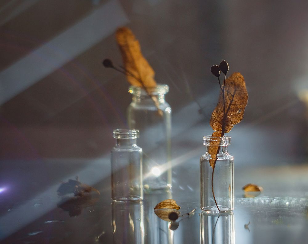 Photograph by Мария Бузыцкая