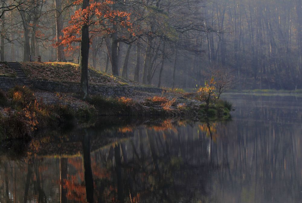 Осенняя гармония