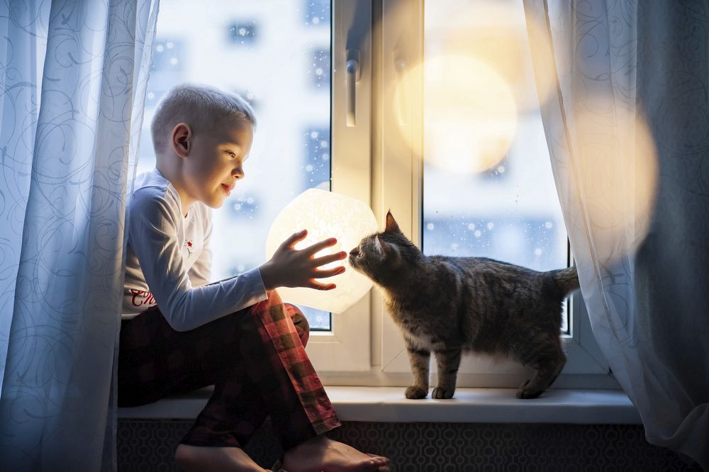 Новогодняя сказка