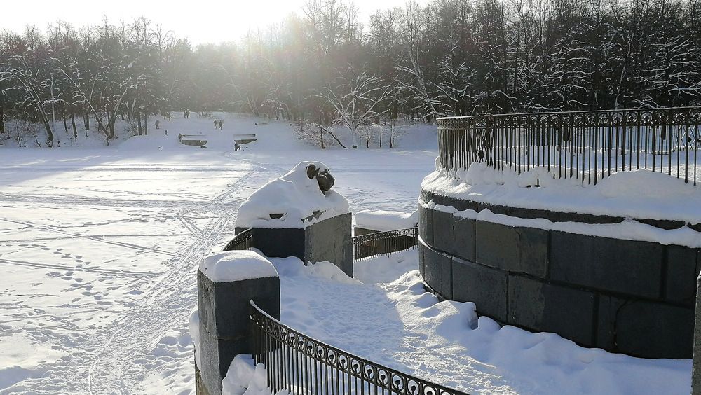 Большой пруд в парке зимой.