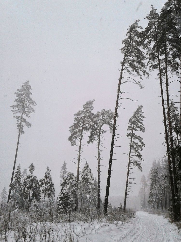 Photograph by Людмила М