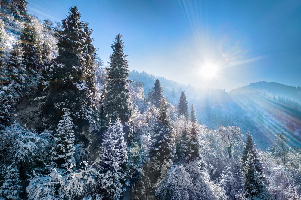 зимний день