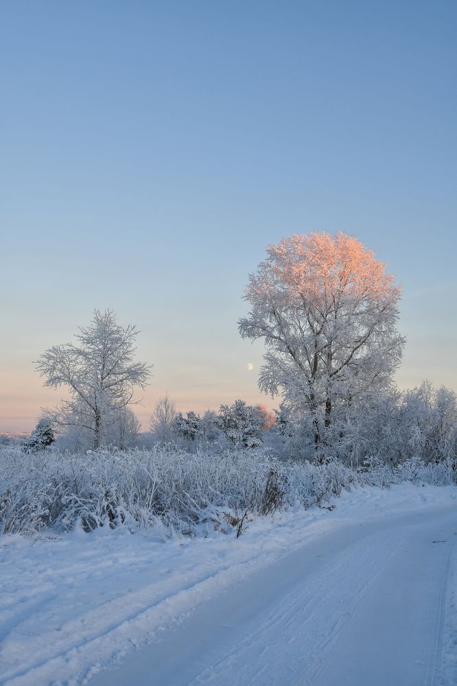 Зимняя дорога