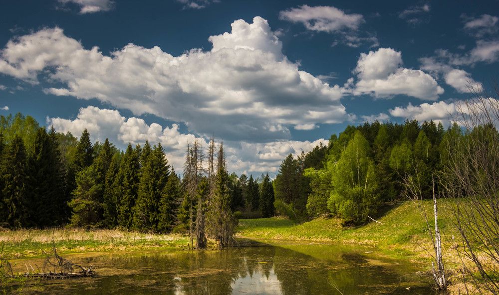 Солнечный денёк...