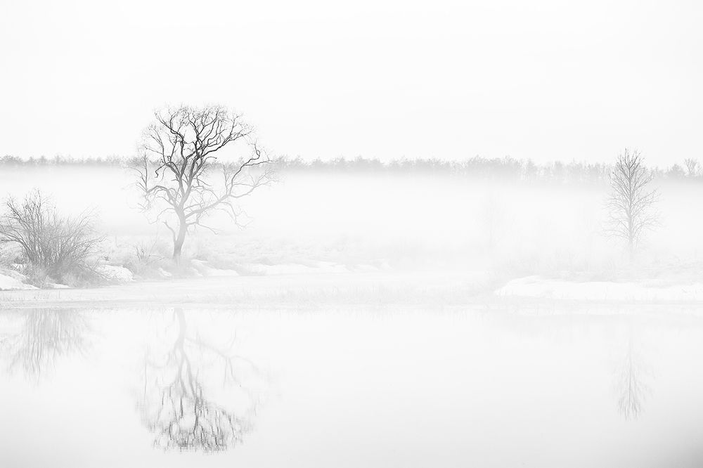 Седой туман.