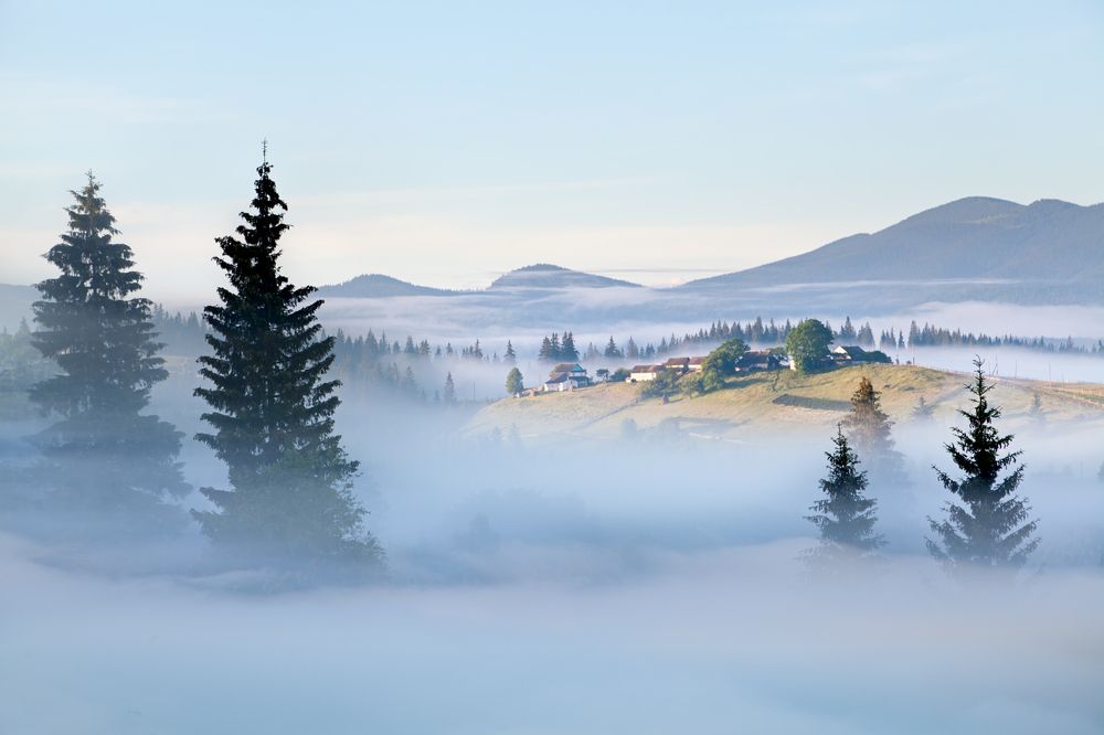 Затерянные в тумане