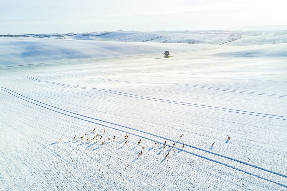 Зима в Южной Моравии
