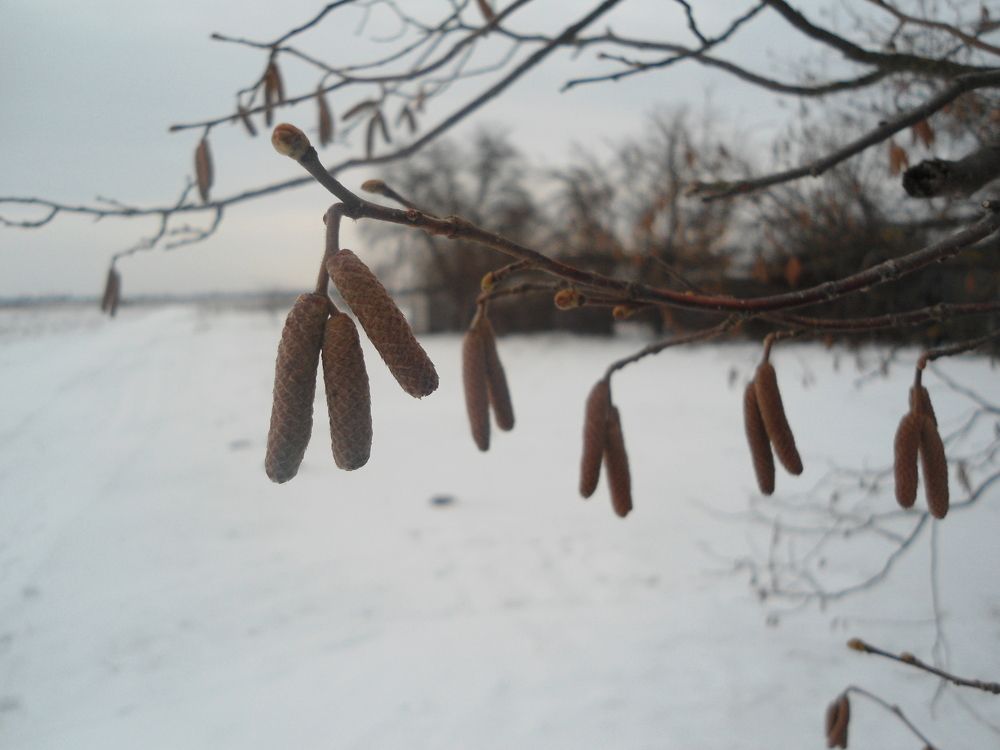 Photograph by Иванна Осипчук