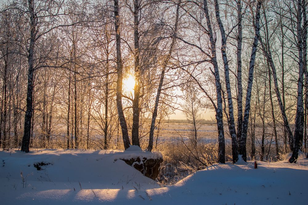 Photograph by Антон Мингалев