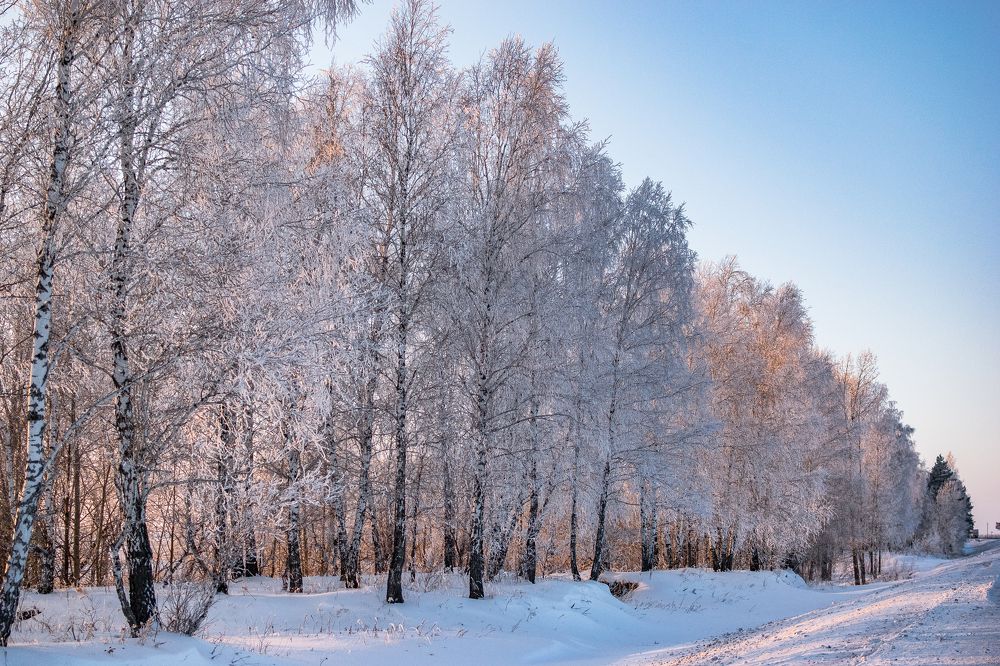 Photograph by Антон Мингалев