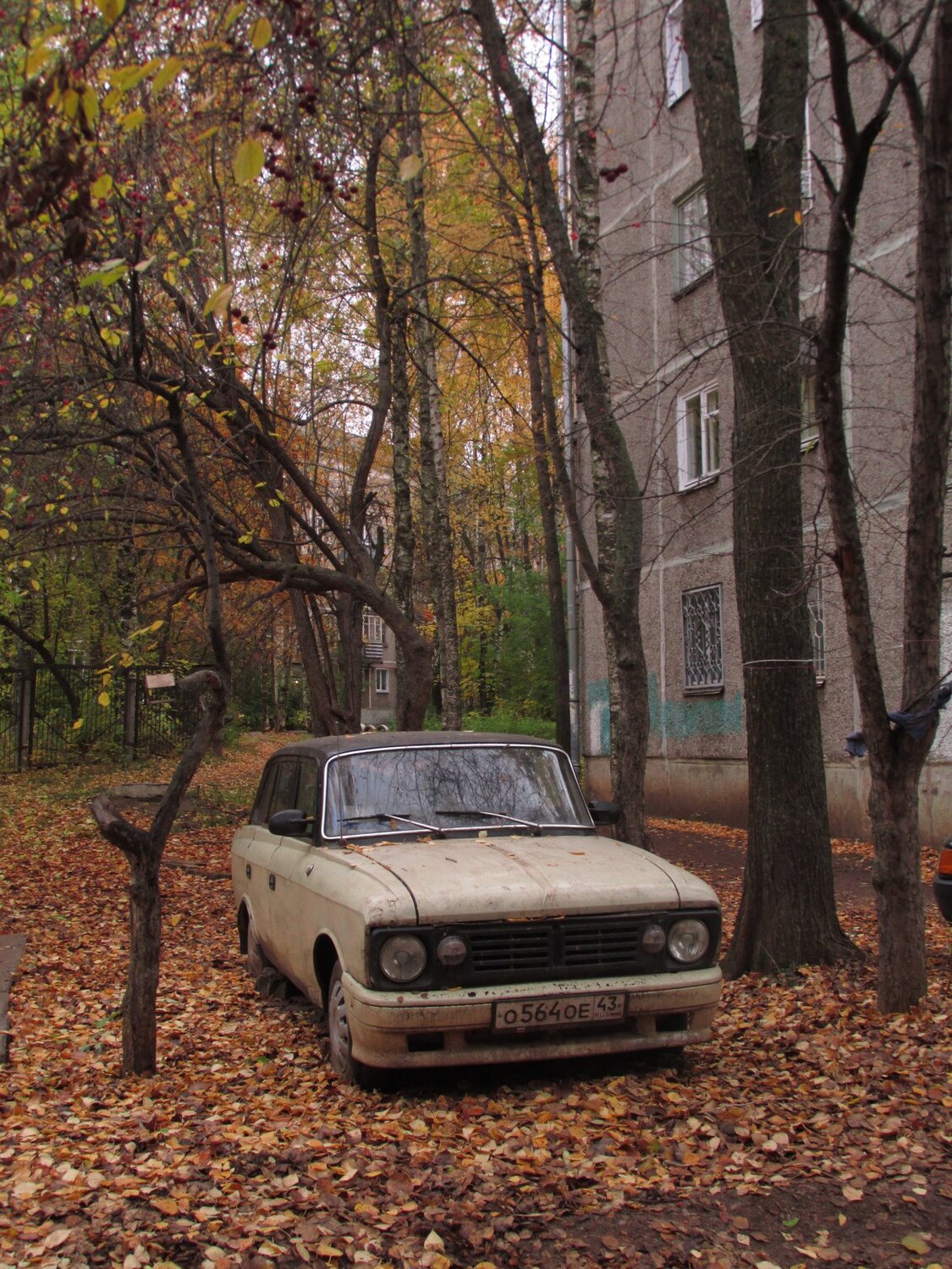 Осень