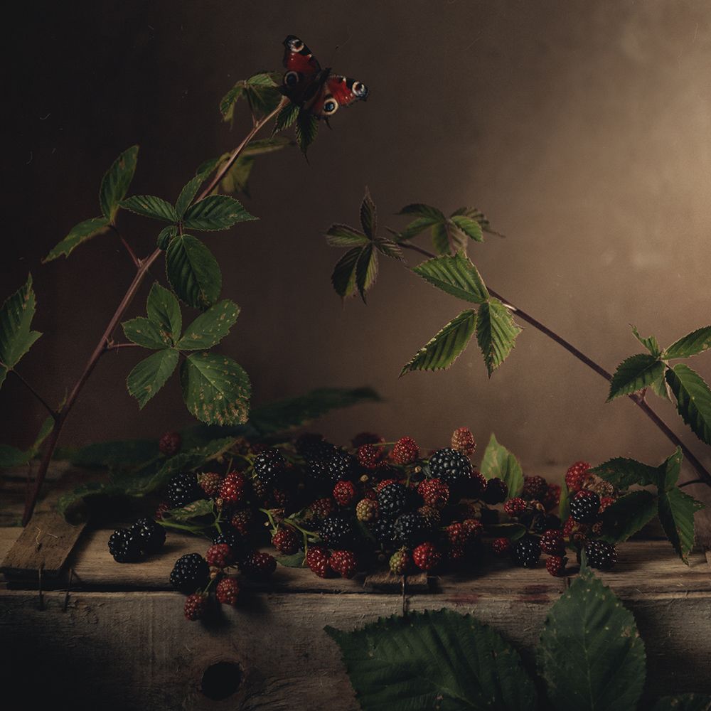 Натюрморт с бабочкой и ежевикой