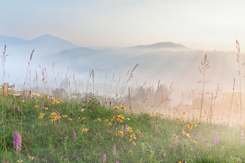 Утро доброе!