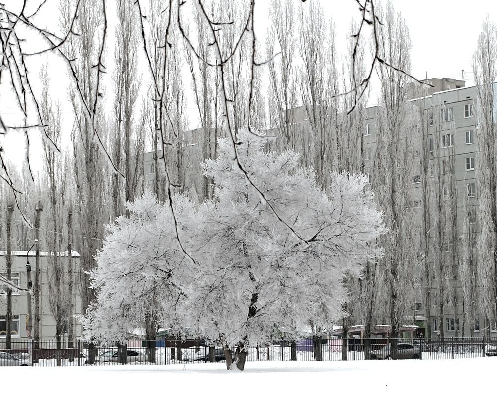 Photograph by Анна Панкратова