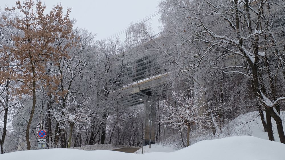 Photograph by Анна Панкратова