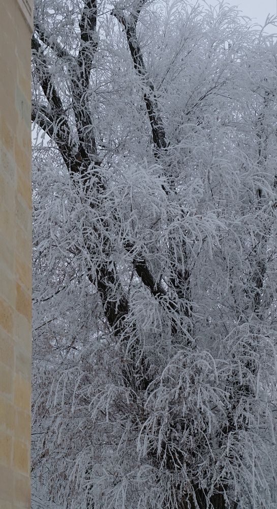 Photograph by Анна Панкратова