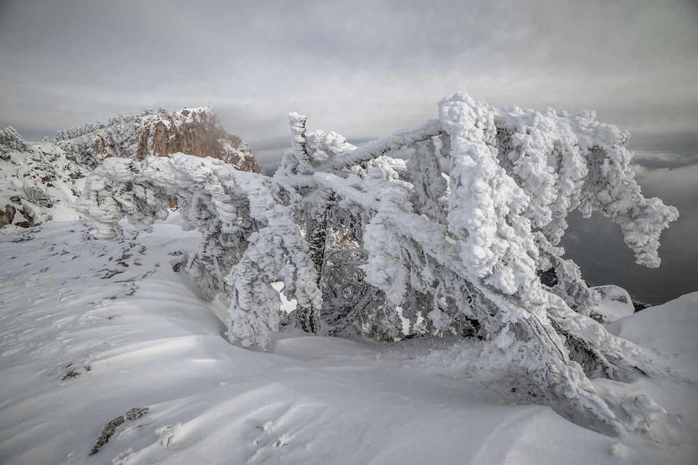 Плато Ай-Петри