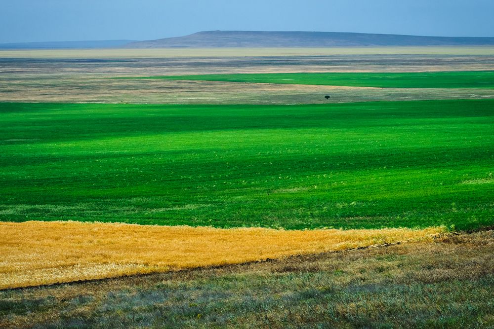 Геометрия полей