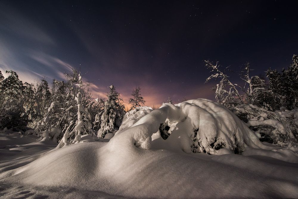 В сказочном лесу.