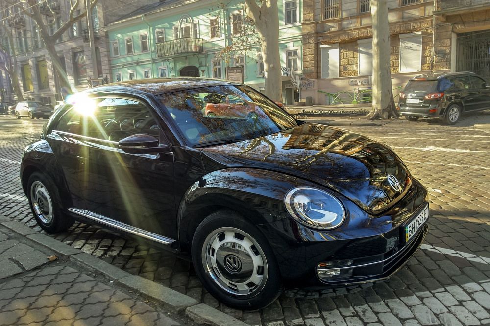 Photograph by Alisa An