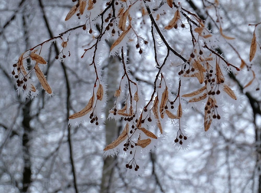 Photograph by Анна Панкратова