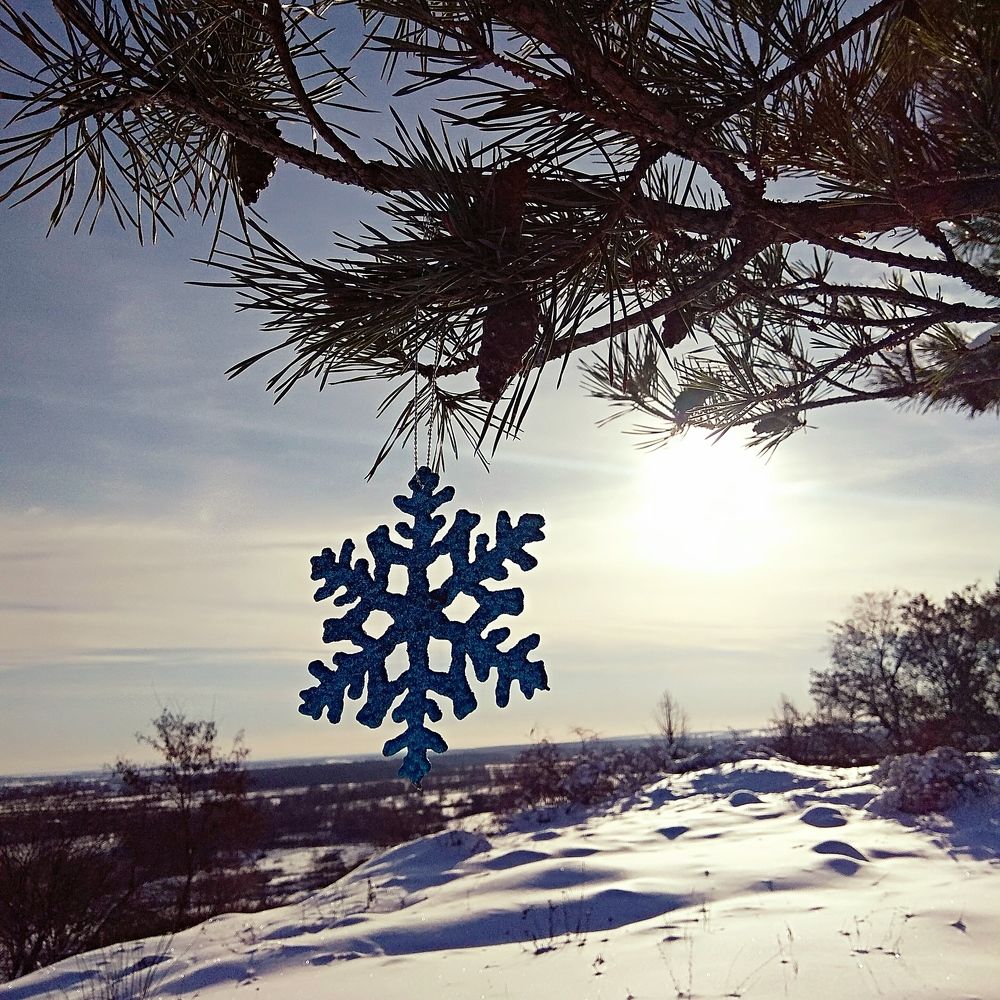 Снежинка в зимнем пейзаже