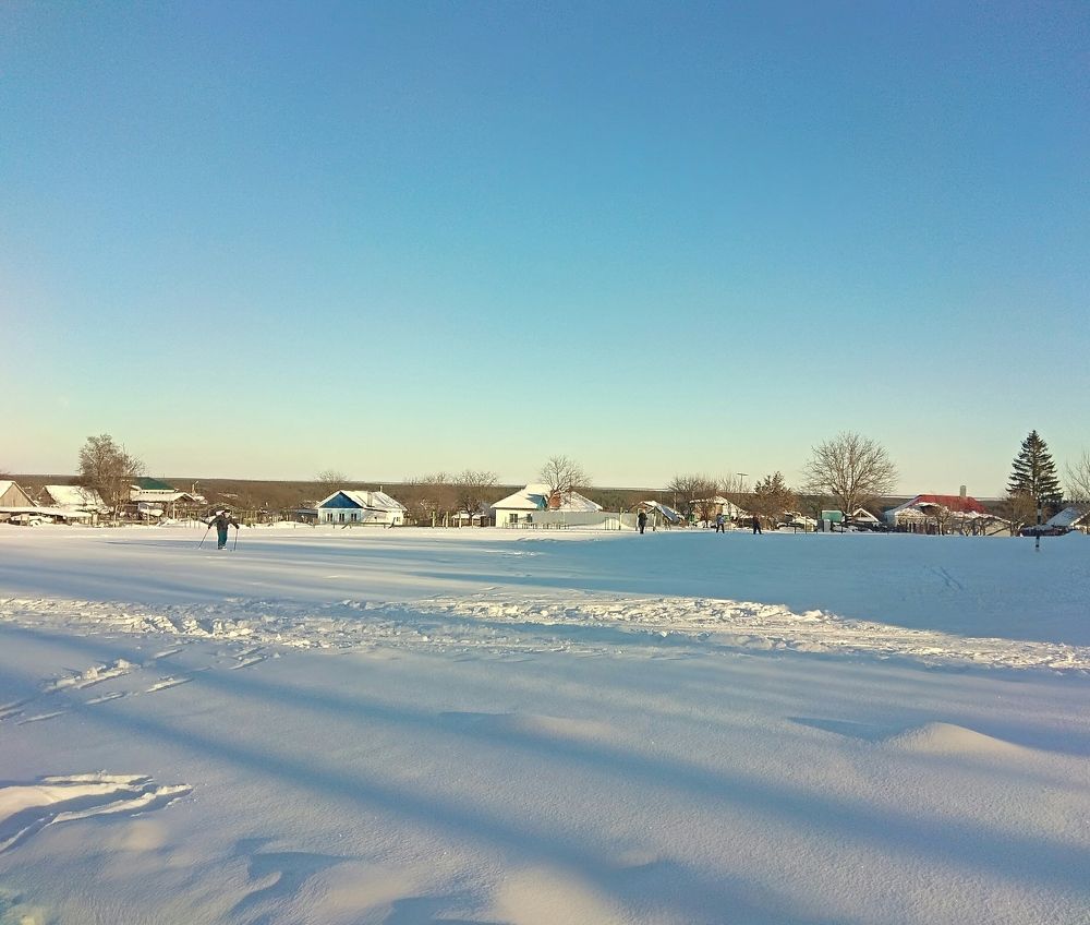 Лыжные прогулки