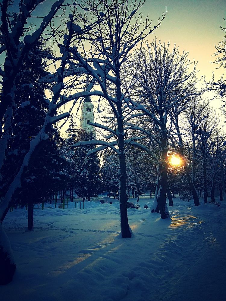 Зимнее солнце