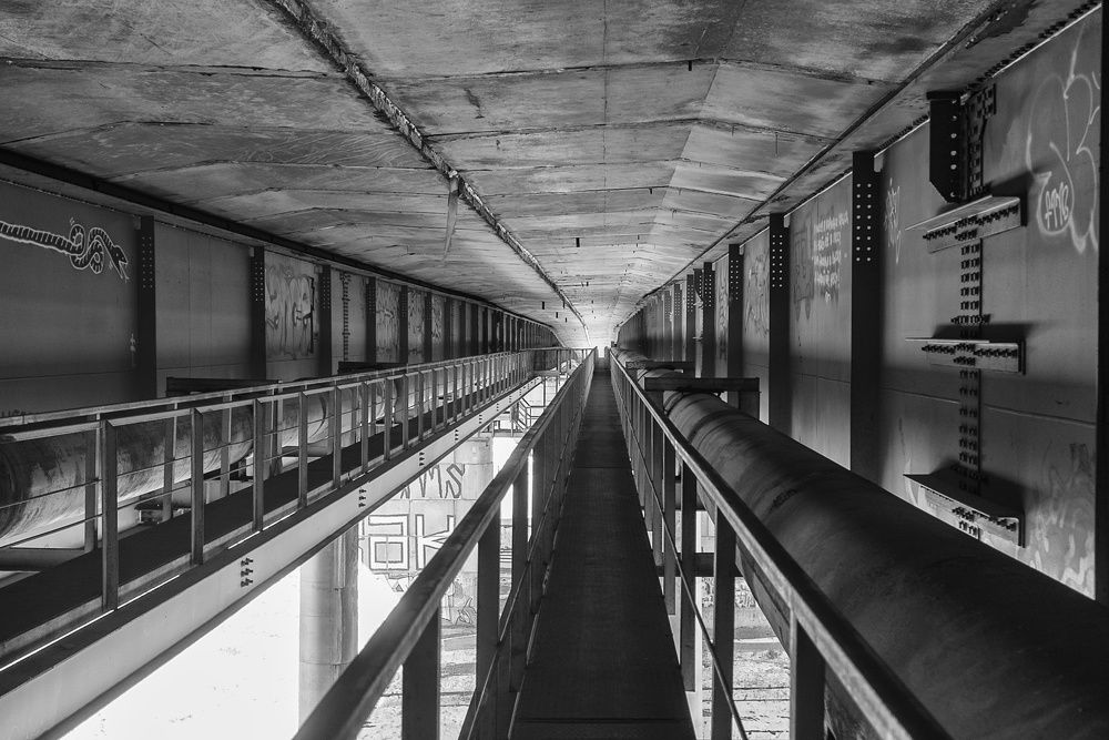 Photograph by Владимир Таланцев