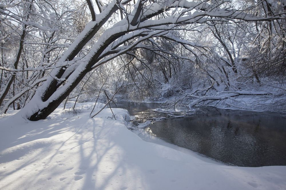 Яуза на солнце